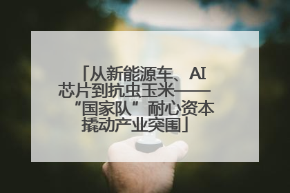 从新能源车、AI芯片到抗虫玉米——“国家队”耐心资本撬动产业突围